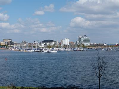 Picture 7